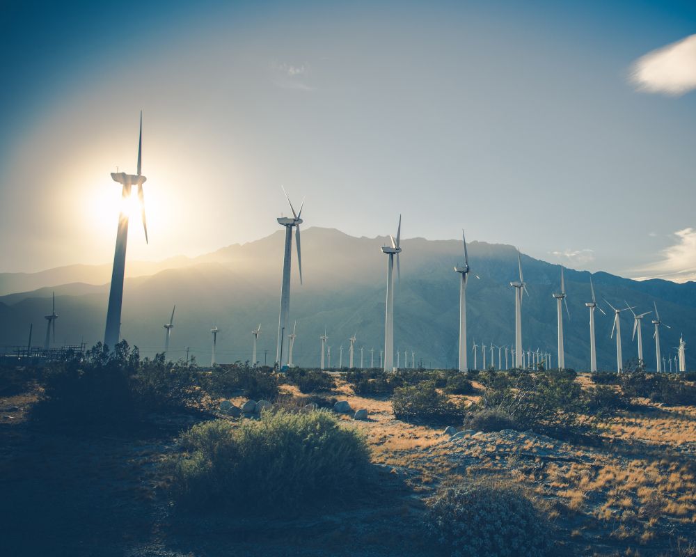Comercialización de energía renovable con molinos de viento.
